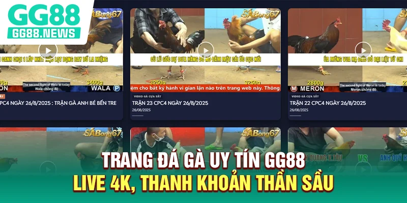 Trang Đá Gà Uy Tín GG88 - Live 4K, Thanh Khoản Thần Sầu